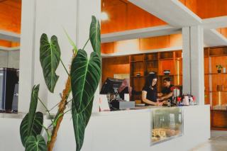 Cafe guatemalteque : chocolat et epices d'Amerique centrale