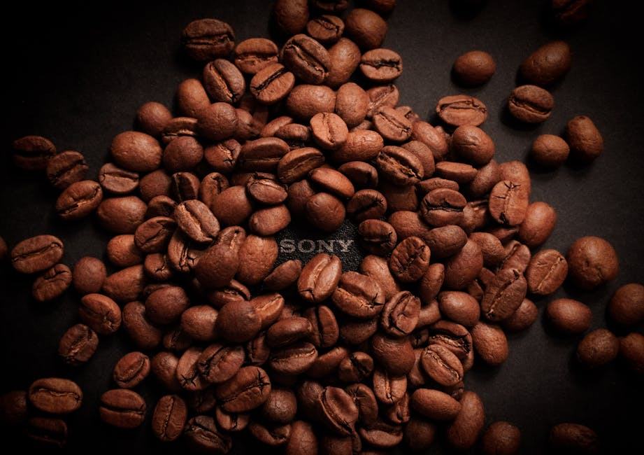 Histoire du café : des origines ethiopiennes a aujourd'hui