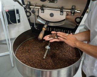 Torréfaction artisanale : comment nait un grand café ?