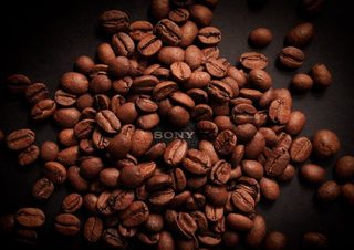 Quelle est l'origine du café et comment a-t-il conquis le monde ?